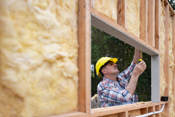 Best Crawl Space Insulation  in Pulaski, VA